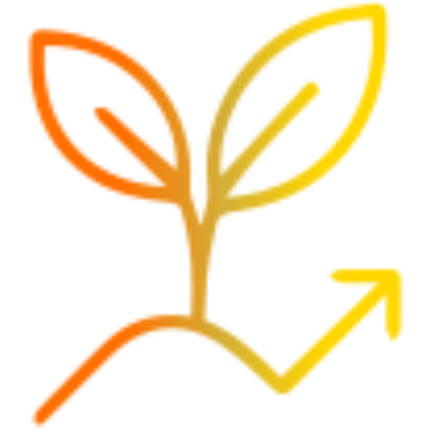 Growth